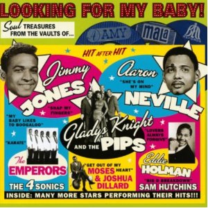 Various Artists -Looking For My Baby!-