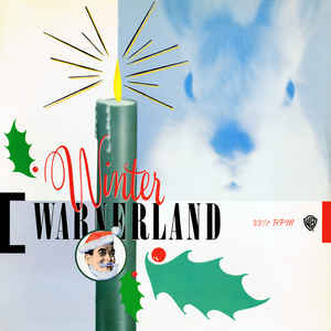 Various Artists -Winter Warnerland-